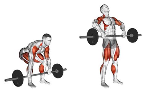 Clean Pull - Learn Mistakes to Avoid, Variations, and Similar Exercises