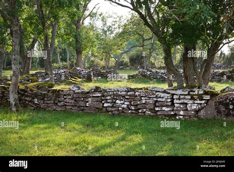 Old Stone Wall Stock Photo Alamy