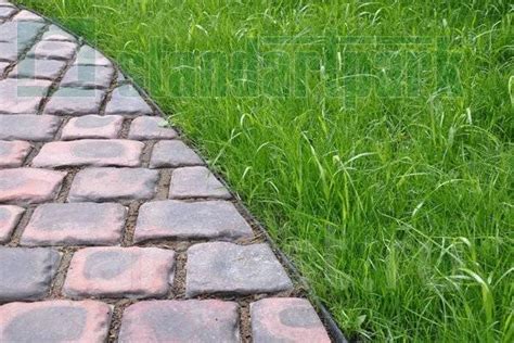 Пластиковый бордюр для тротуарной плитки фото