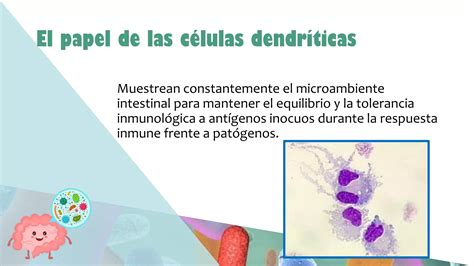 Sistema Inmune Y Microbiota Pdf