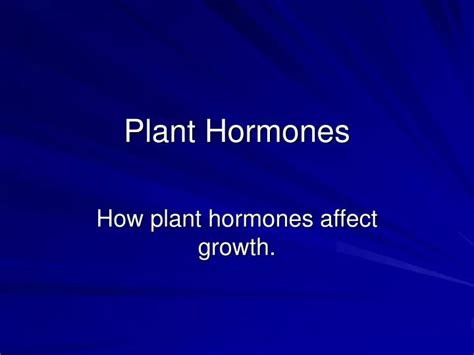 Ppt Plant Hormones Powerpoint Presentation Free Download Id5080659