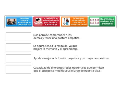 Aportaciones De La Neurociencia A La Cultura Del Aprendizaje Match Up