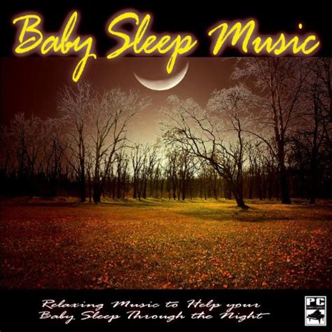 Amazon.com: Baby Sleep Music : Baby Sleep Music: Digital Music