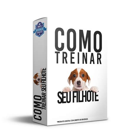 E Books Plr Treinamento Para C Es Ebook Plr