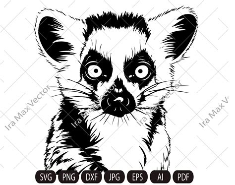 Lemur SVG Lemur Clipart Hand Drawn Lemur Vector Etsy