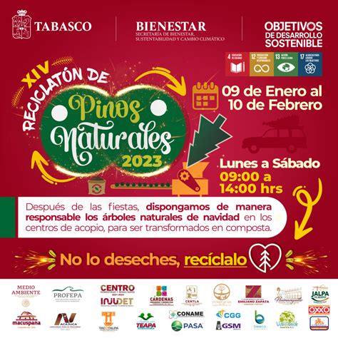 CONVOCATORIA Reciclatón de Pinos Naturales 2023 Portal Tabasco