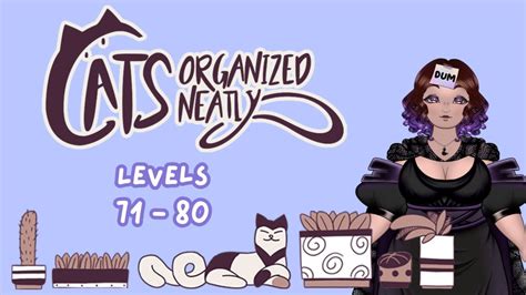 Cats Organized Neatly Levels 71 Through 80 Gameplay Puzzle