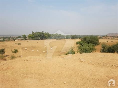 100 Kanal Agricultural Land For Sale In Neela Dulha Interchange Others