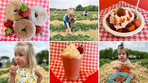 Otter Creek Orchard Apple Orchard St Ansgar