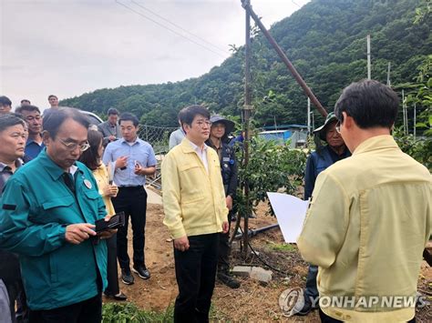 우박피해 현장 점검하는 권재한 실장 연합뉴스