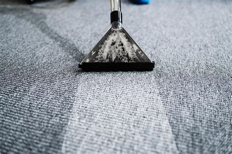 Tips For Carpet Mold Removal Justpasteit