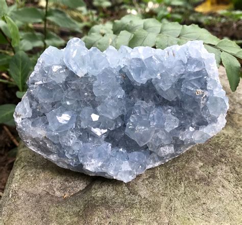 1.17 Lbs Celestite Geode Cluster, Sky Blue Coloring, 528.9 Grams, CR4264