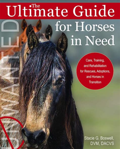 The Ultimate Guide For Horses In Need Stacie G Boswell Dvm Dacvs Nz