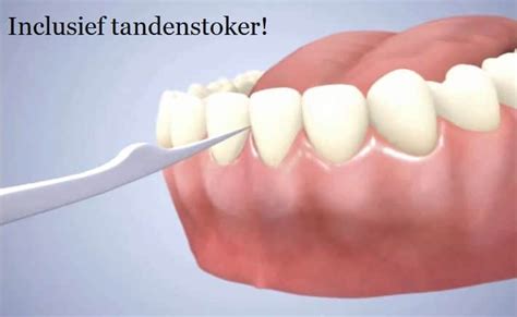 Flosser Top 10 Beste Flossers Voor Tanden Ontstoken Tandvlees