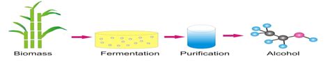 Schematic representation of alcohol production from biomass. Fuel from ...