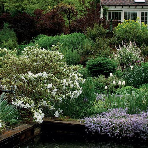 Simplify Your Color Scheme Fine Gardening