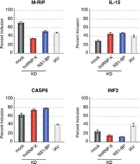 Examples Of Genes That Are Differentially Spliced Upon Depletion Of