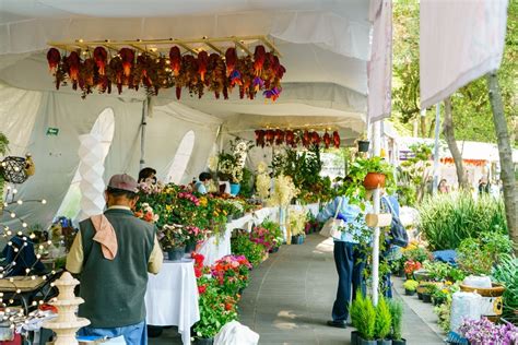 Aparta La Fecha Para La Feria De Las Flores De San Ngel