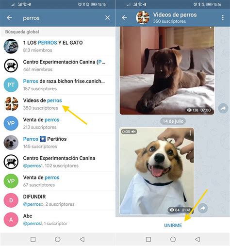 Cómo buscar grupos y canales en Telegram