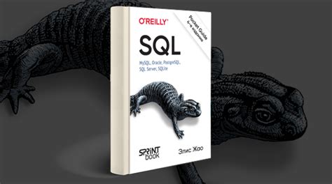 Книга Sql Pocket Guide 【Скачать бесплатно】