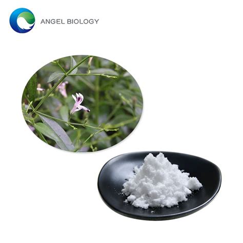 Andrographis Paniculata Extract Powder