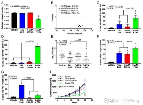 Parp抑制剂 基于合成致死性遗传概念的药物设计 小提示：正文字数6205，预计阅读需15分钟 题记 合成致死是组合疗法这个常见策略在肿瘤领域