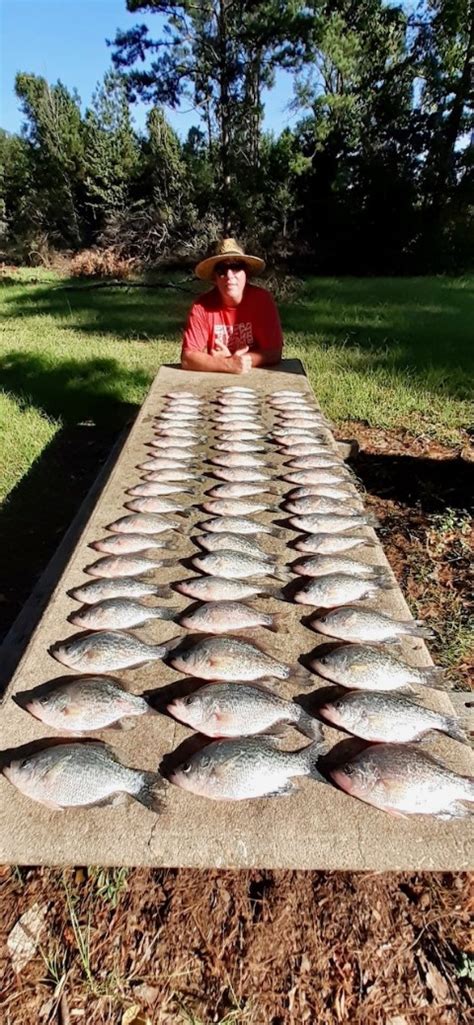 Eufaula Lake Fishing Report 26 October 2020 Eufaula Lake Guides