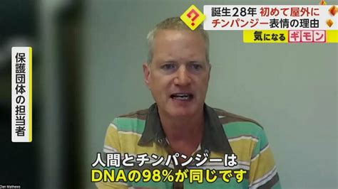 【誕生28年で初屋外】何度も空見上げるチンパンジー！ 驚く表情がまるで人間 実はdna98％同じ 米・フロリダ｜fnnプライムオンライン