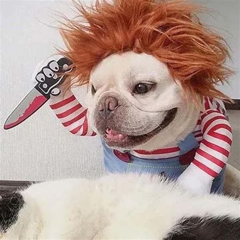 This Chucky Costume Will Give Your Dog A Killer Look For Halloween