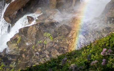 Regenbogen Wasserfall Blumen Kostenloses Foto Auf Pixabay