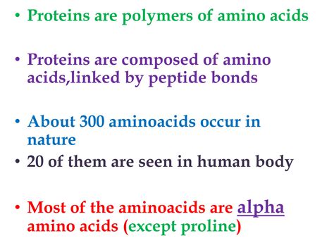 SOLUTION Amino Acid Studypool