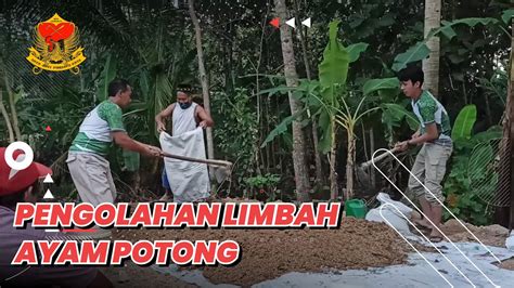 Cara Paling Mudah Mengolah Limbah Kotoran Ayam Potong Menjadi Pupuk