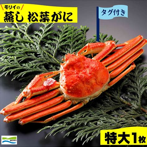 【楽天市場】【ふるさと納税】先行予約 鳥取県産 タグ付き 蒸し松葉がに 特大1枚 冷蔵【23 100 001】モリイ食品 松葉ガニ かに