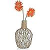 Amazon MDLUU Glass Jug With Twine 10 Tall Flower Vase With Rope