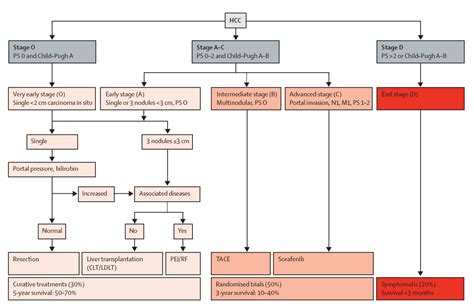 What Are The Stages Of Metastatic Liver Cancer - CancerWalls