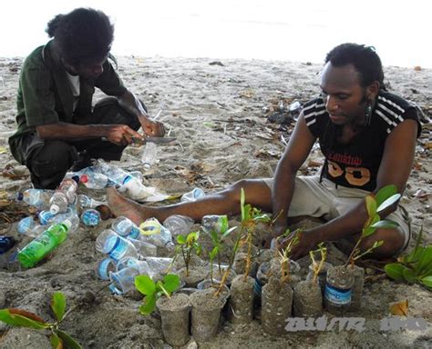 Papua Jungle Chef Community My Album