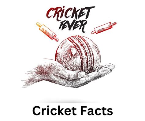 Amazing Cricket Facts