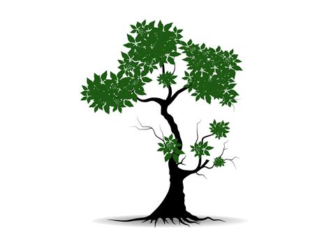 Black Branch Tree Or Naked Trees Silhouettes Set Hand Drawn Isolated Illustrations