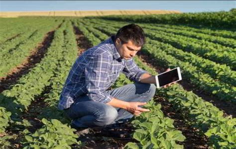 Labores Que Cumple El Ingeniero Agronomo