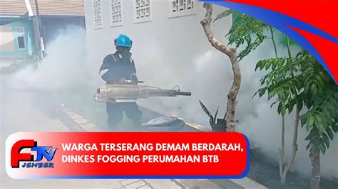 WARGA TERSERANG DEMAM BERDARAH DINKES FOGGING PERUMAHAN BTB YouTube