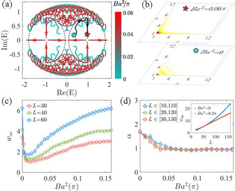 Figure From Enhancement Of Second Order Non Hermitian Skin Effect By