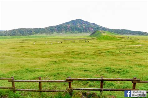 阿蘇景點｜草千里、草千里咖啡廳餐廳、周邊景點一望無際大草原 來一球叭噗