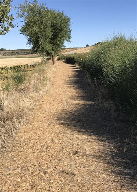 Camino Francés Carrión de los Condes a Terradillos de los Templarios