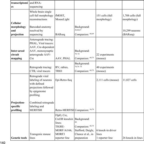 Pdf A Multimodal Cell Census And Atlas Of The Mammalian Primary Motor