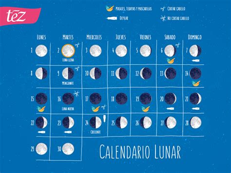 Calendario Lunar Para Corte De Cabello 2024 - Image to u