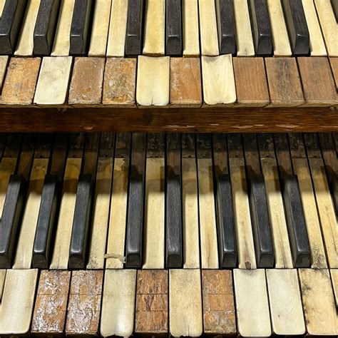 Organ Keyboard - Longleaf Lumber