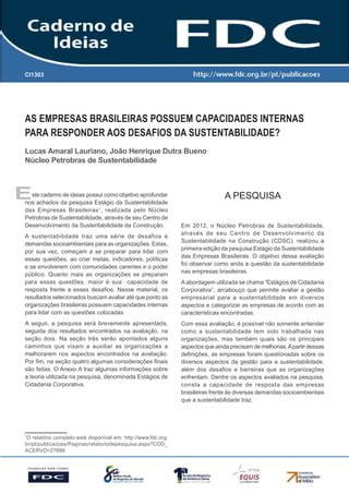 As Empresas Brasileiras Possuem Capacidades Internas Para Responder Aos