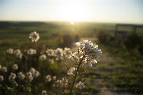 Diferencia Entre Solsticio Y Equinoccio Diferencias Es