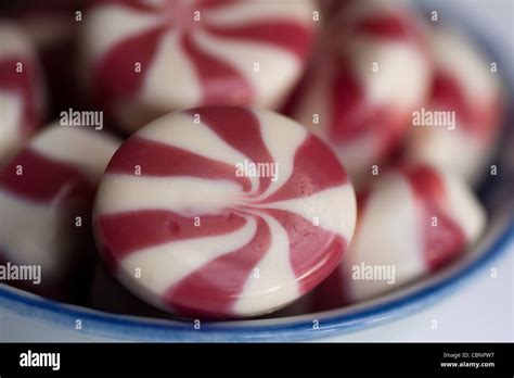 Strawberry And Cream Sweets Stock Photo Alamy