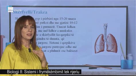 Biologji 8 Sistemi I Frymëkëmbimit Tek Njeriu Youtube